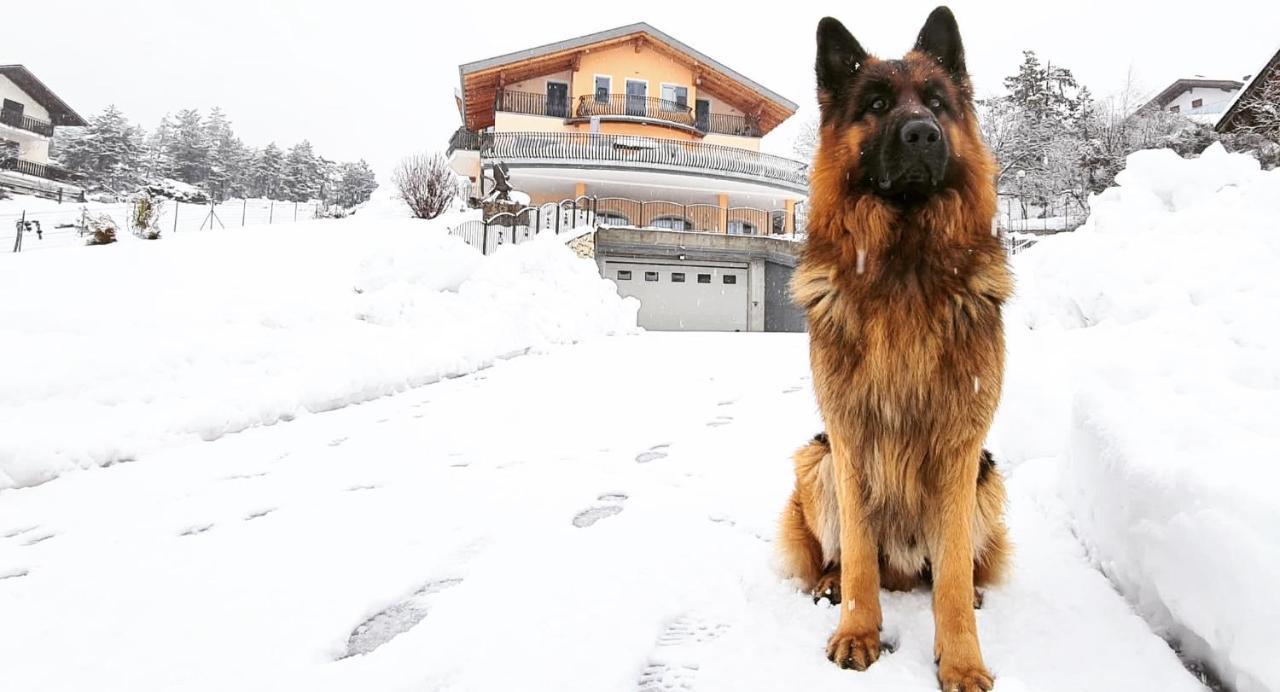 Affittacamere Dolce Sogno Coredo Zewnętrze zdjęcie