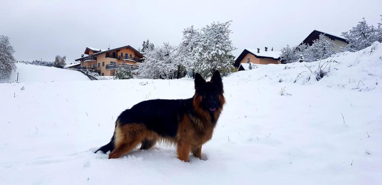 Affittacamere Dolce Sogno Coredo Zewnętrze zdjęcie